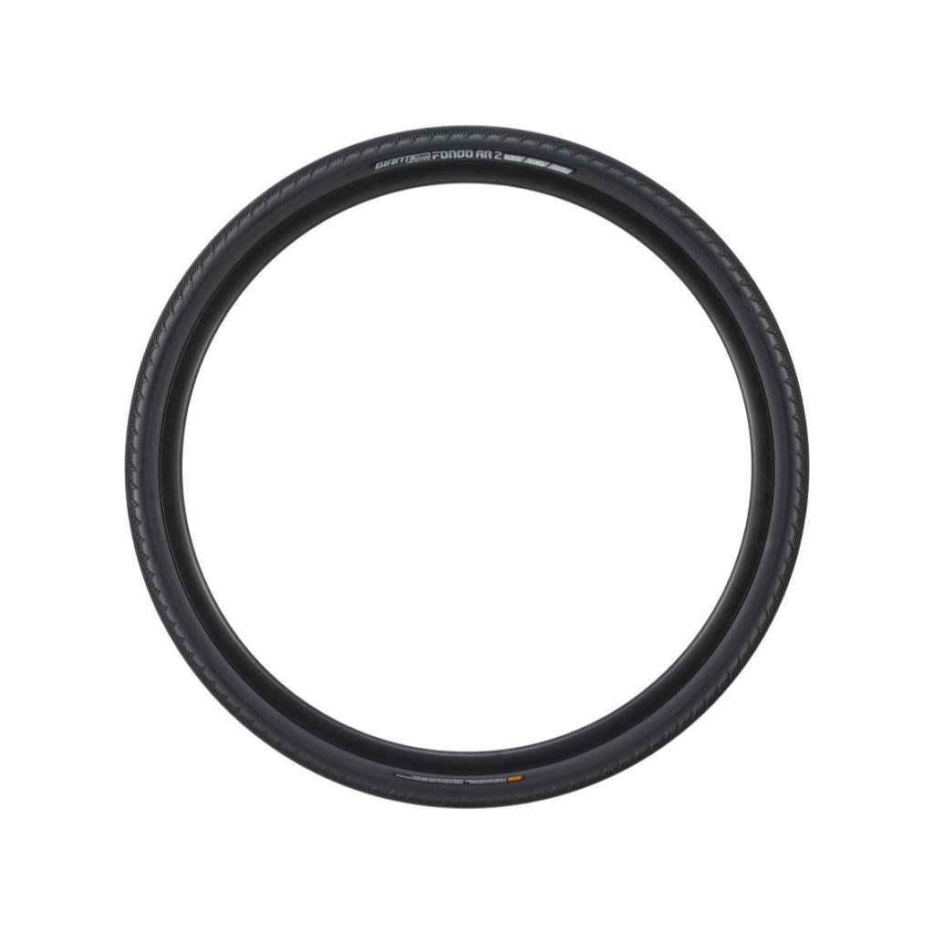 🔥全新公司貨🔥捷安特 GIANT Gavia Fondo AR 無內胎外胎 700X40C