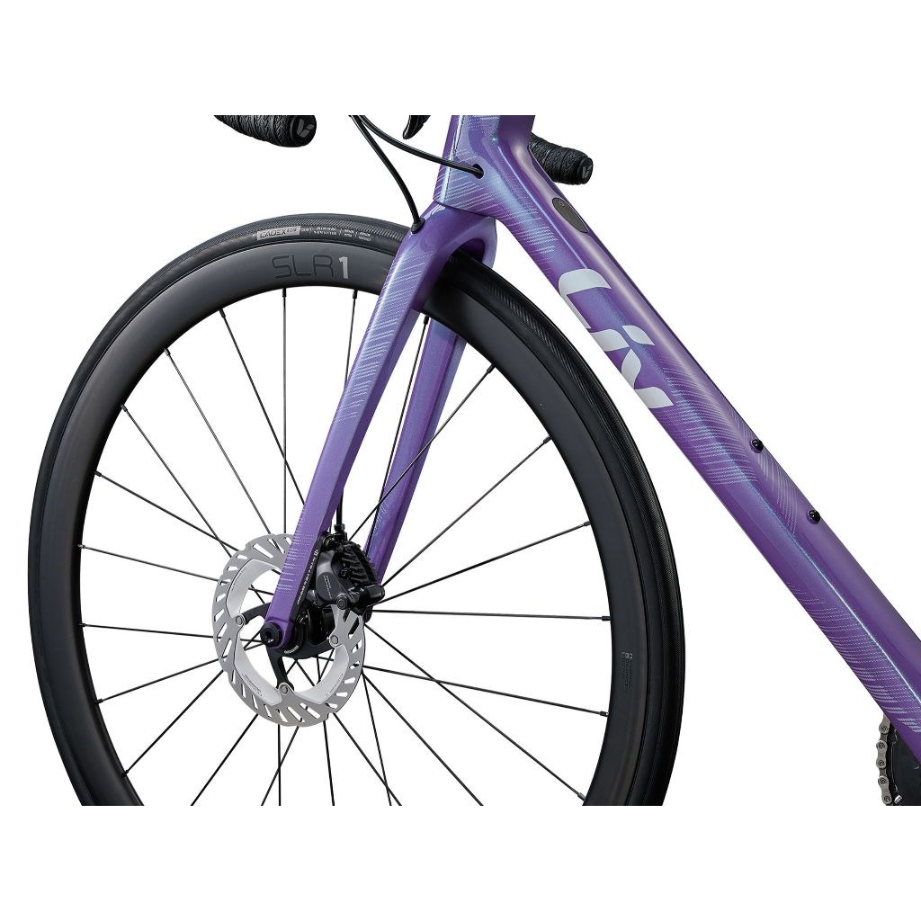 🔥全新公司貨🔥 Liv 2024 Langma Advanced Pro Disc 0女性公路自行車-藍紫  聊聊享優惠