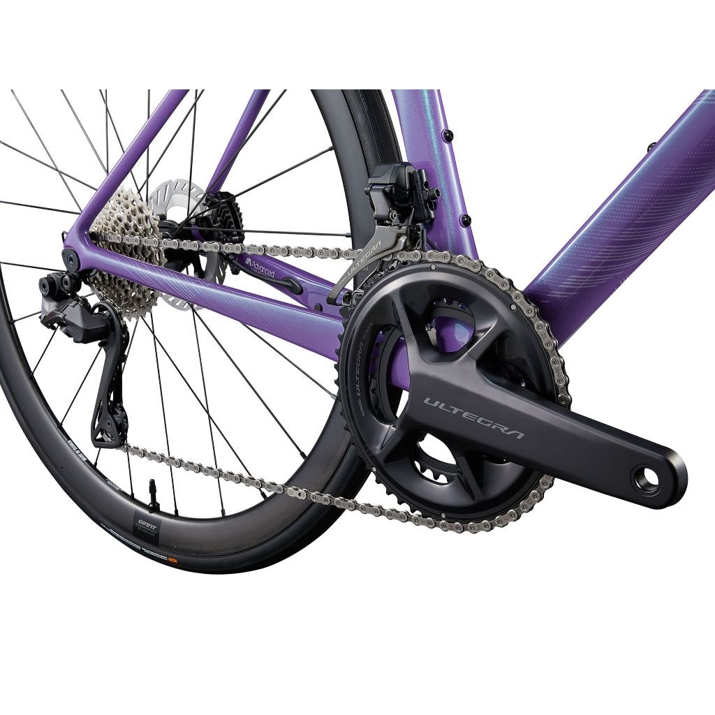 🔥全新公司貨🔥 Liv 2024 Langma Advanced Pro Disc 0女性公路自行車-藍紫  聊聊享優惠