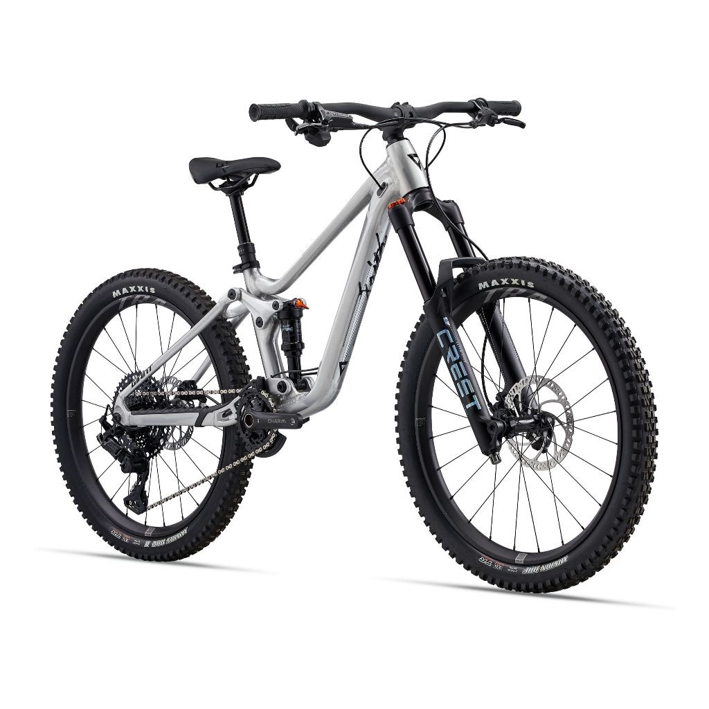 🔥全新公司貨🔥 捷安特 GIANT 2025 Faith 24  青少年自行車 - 鋁本色   聊聊享優惠