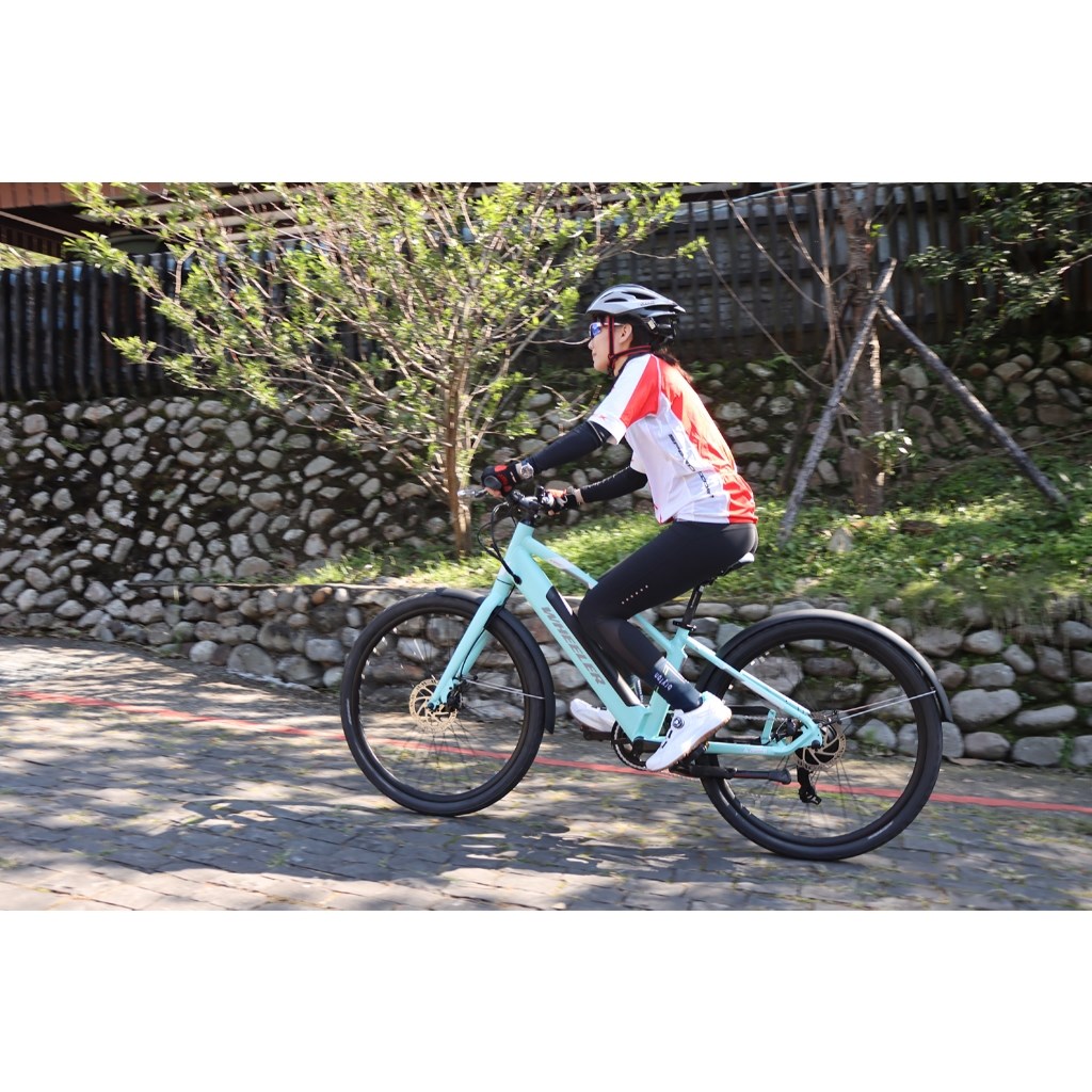 🔥全新公司貨🔥WHEELER  E-SPORT-1 城市通  電動輔助自行車  - 湖水綠  E-Bike