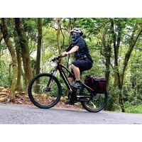 🔥全新公司貨🔥WHEELER  E-SPORT-II  挑戰者 電動輔助自行車 - 黑/紅  E-Bike