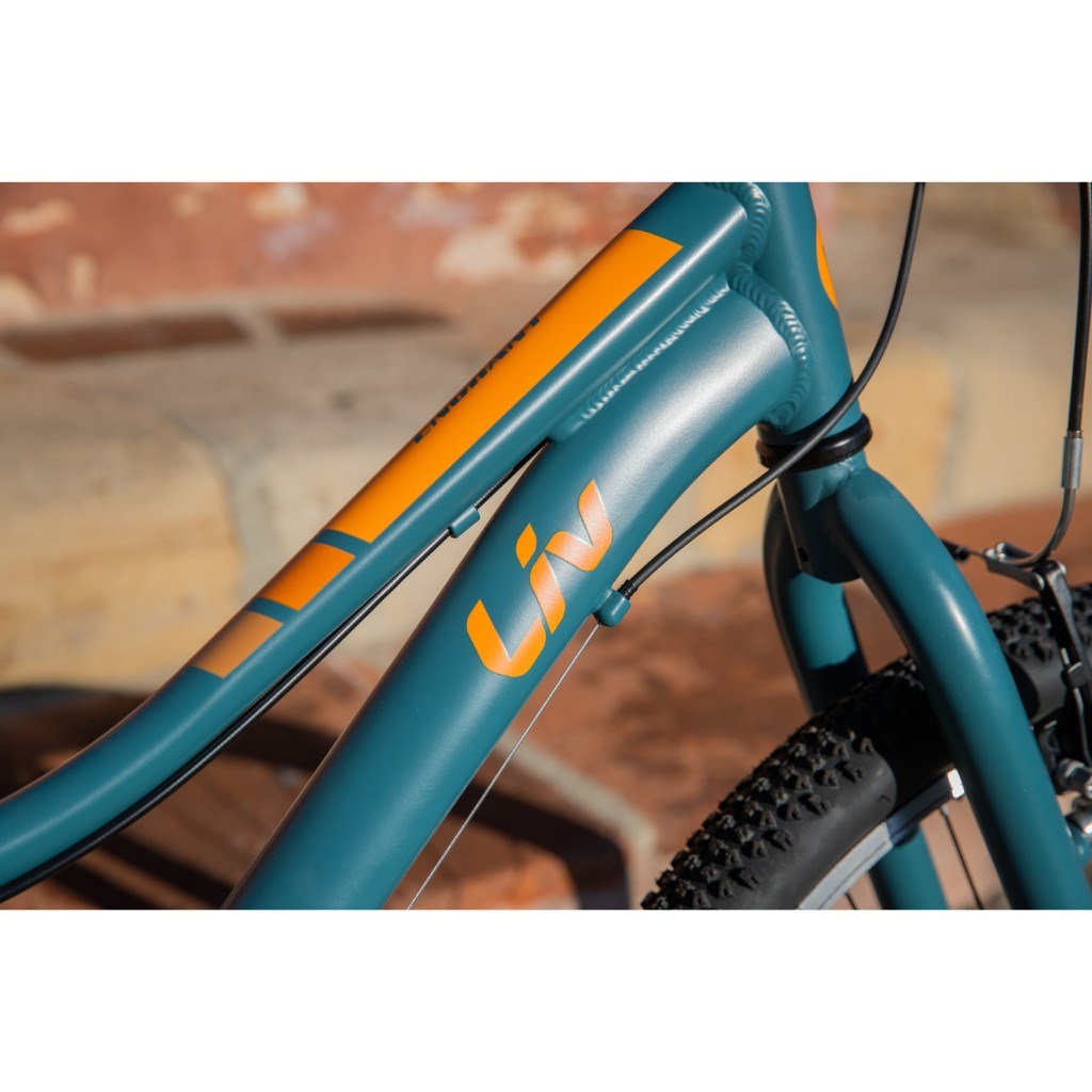 🔥全新公司貨🔥Liv 2022  Enchant 24 Lite青少年登山車 - 灰藍 130-150cm到貨需自行組裝