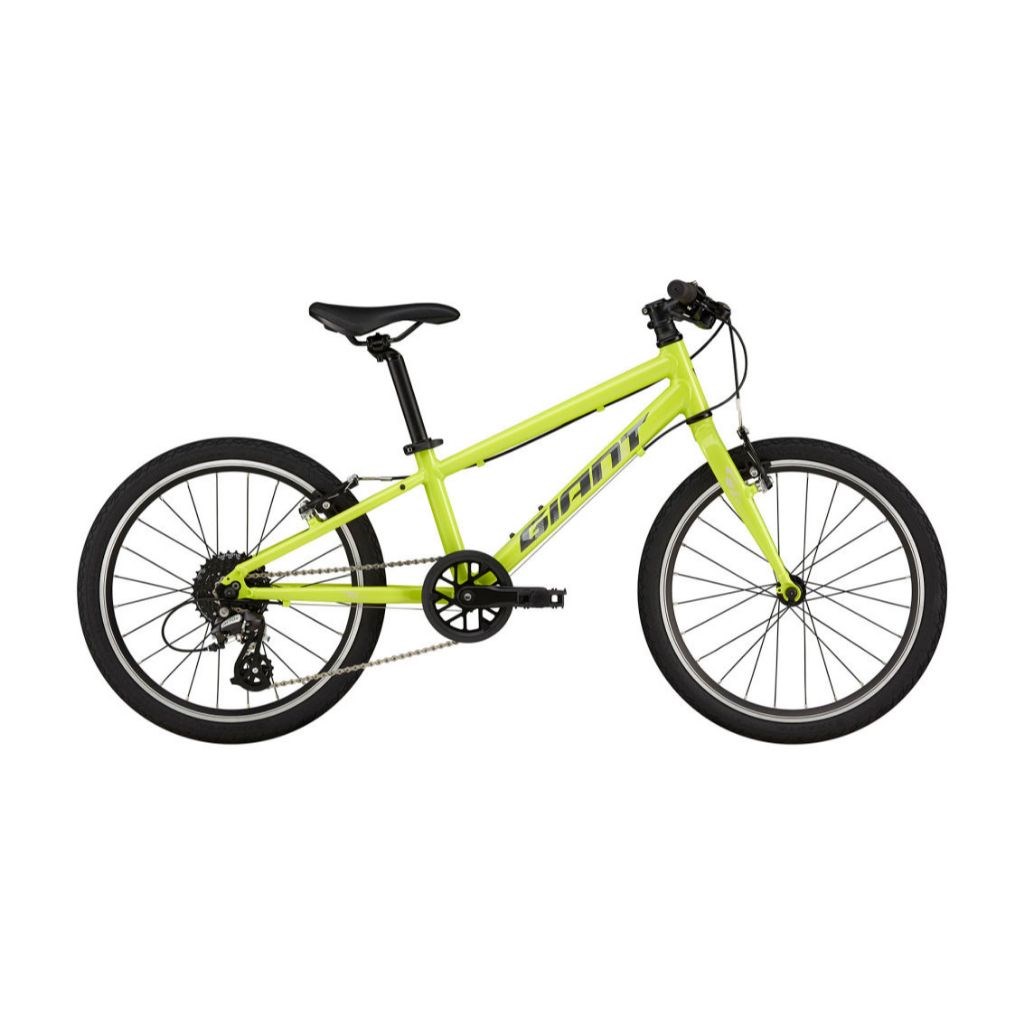 🔥全新公司貨🔥GIANT 捷安特 2024 ARX 20 輕量鋁合金兒童自行車-淺藍、黃綠  適合身高115-135cm