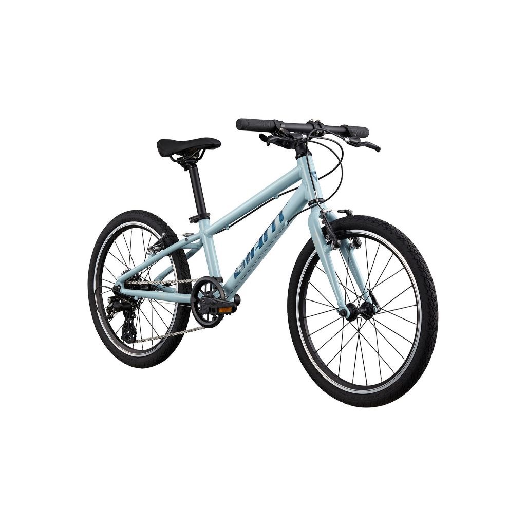 🔥全新公司貨🔥GIANT 捷安特 2024 ARX 20 輕量鋁合金兒童自行車-淺藍、黃綠  適合身高115-135cm