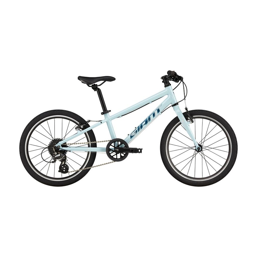 🔥全新公司貨🔥GIANT 捷安特 2024 ARX 20 輕量鋁合金兒童自行車-淺藍、黃綠  適合身高115-135cm
