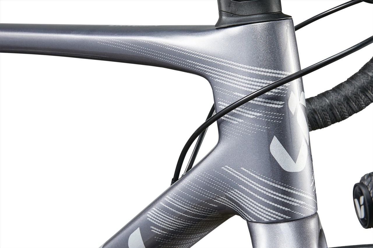 Liv 2024 Langma Advanced Disc 2 女性公路車- 優雅灰