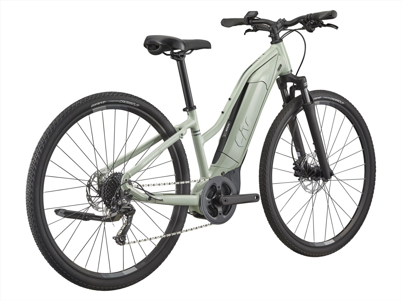 Liv 2025 Rove E+ 女性電動輔助自行車 - 月桂綠