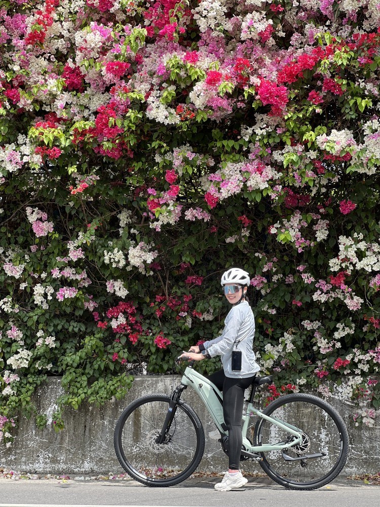 Liv 2025 Rove E+ 女性電動輔助自行車 - 月桂綠