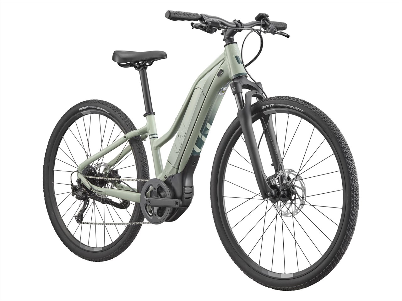 Liv 2025 Rove E+ 女性電動輔助自行車 - 月桂綠