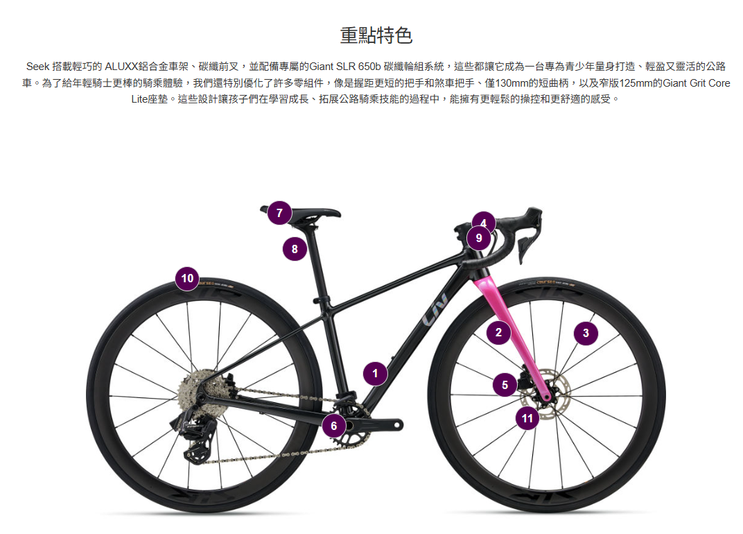 Liv 2026  Seek 1 青少年自行車 - Black Chrome 