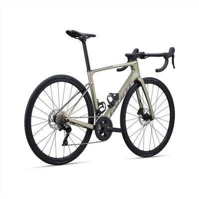 🔥全新公司貨🔥捷安特 GIANT 2024  Defy Advanced 2 公路自行車-月桂葉綠 公路競賽 聊聊享優惠