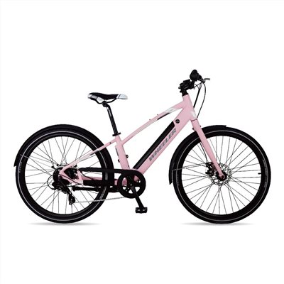 🔥全新公司貨🔥WHEELER  E-SPORT-1 城市通  電動輔助自行車  - 櫻花粉  E-Bike