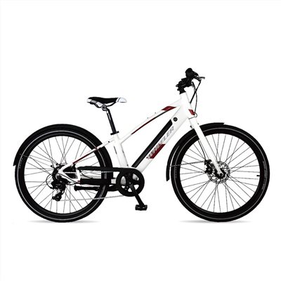 🔥全新公司貨🔥WHEELER  E-SPORT-1 城市通  電動輔助自行車  -白色  E-Bike