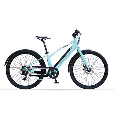 🔥全新公司貨🔥WHEELER  E-SPORT-1 城市通  電動輔助自行車  - 湖水綠  E-Bike