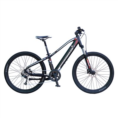 🔥全新公司貨🔥WHEELER  E-SPORT-II  挑戰者 電動輔助自行車 - 黑/紅  E-Bike
